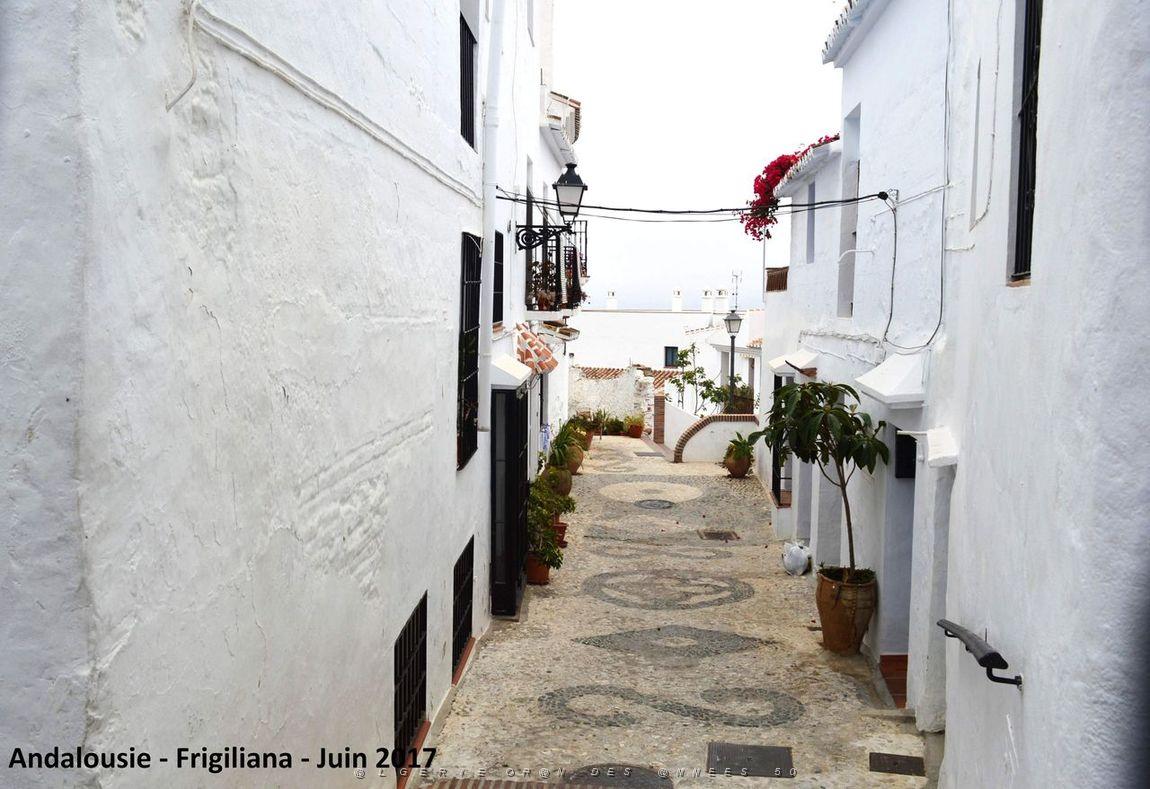599 - Frigiliana.JPG